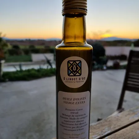 Domaine O Lingot D'oc * Roubia