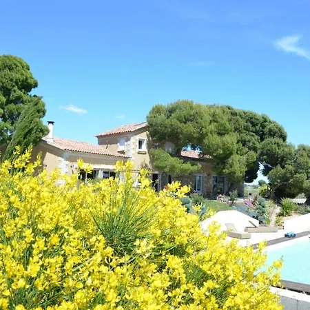 Domaine O Lingot D'oc *