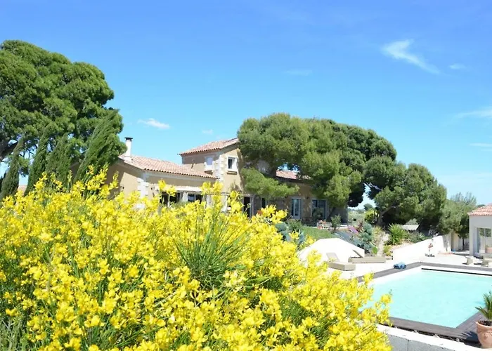 Domaine O Lingot D'oc *